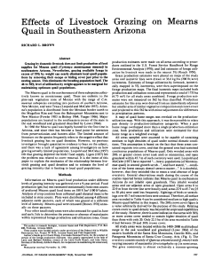 Effects of Livestock Grazing on Mearns Quail in Southeastern Arizona