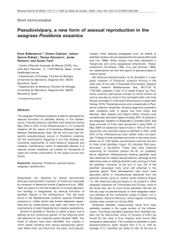 Pseudovivipary, a new form of asexual reproduction in the