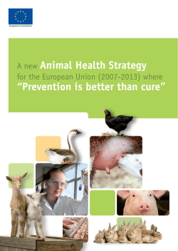 A new Animal Health Strategy &ldquo;Prevention is better than cure&rdquo;