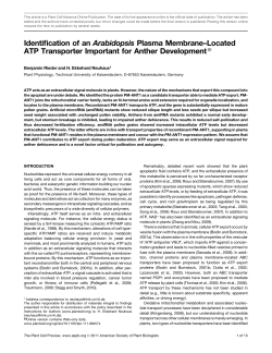 Identification of an Arabidopsis Plasma Membrane