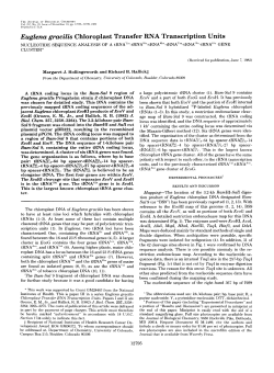 Euglena gracilis Chloroplast Transfer RNA