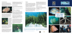 Cornwall Summary 2004