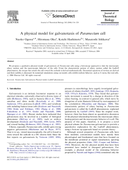A physical model for galvanotaxis of Paramecium cell