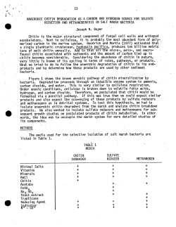 13 anaerobic chitin degradation as a carbon and hydrogen source