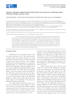 Here - Riviste UNIMI