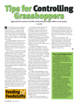 Tips for Controlling Grasshoppers