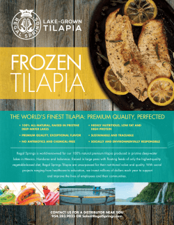 the world`s finest tilapia: premium quality, perfected