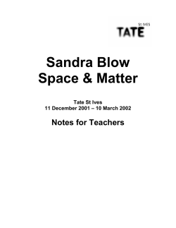 Sandra Blow teachers` pack