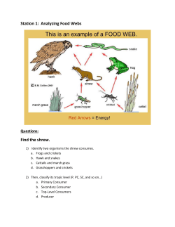 Food Web Stations - Plain Local Schools