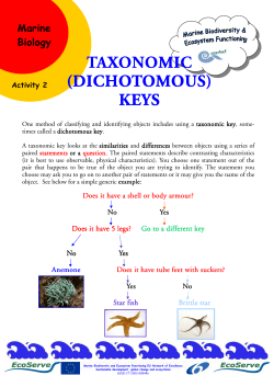 taxonomic (dichotomous) keys