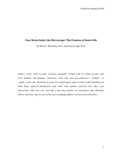 Your Brain Under the Microscope: The Promise of Stem Cells