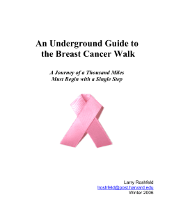 An Underground Guide to the Breast Cancer Walk