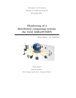 Monitoring of a distributed computing system: the Grid AliEn@CERN