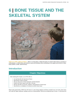 6 | bone tissue and the skeletal system
