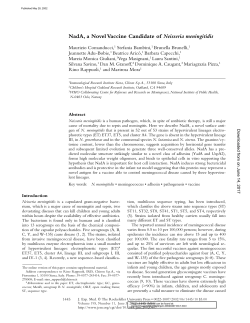 NadA, a Novel Vaccine Candidate of Neisseria meningitidis