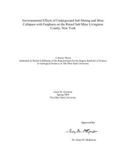 Environmental Effects of Underground Salt Mining and Mine
