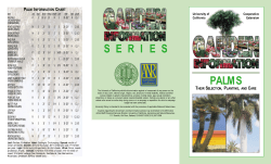 series palms their selection, planting, and care