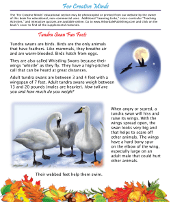 For Creative Minds - Arbordale Publishing