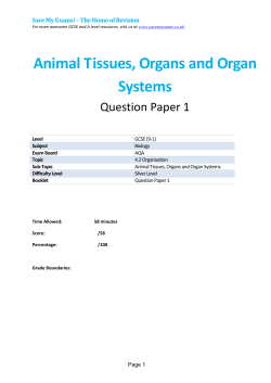 Animal Tissues, Organs and Organ Systems