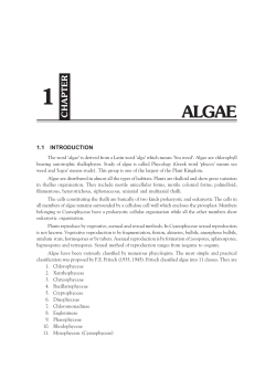 chapter - New Age International