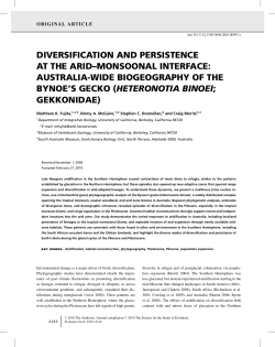 DIVERSIFICATION AND PERSISTENCE AT THE ARID