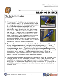 The Key to Identification