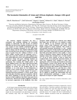 The locomotor kinematics of Asian and African elephants: changes