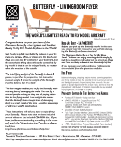 BUTTERFLY - LIVINGROOM FLYER