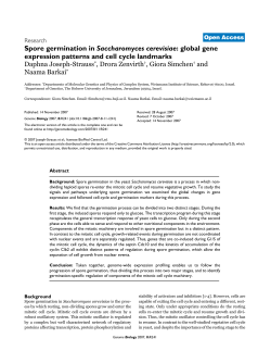 Spore germination in Saccharomyces cerevisiae: global gene
