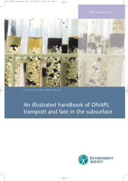 An illustrated handbook of DNAPL transport and fate in the subsurface