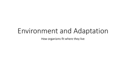 Environment and Adaptation