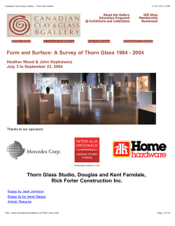 Form and Surface - The Clay and Glass Gallery