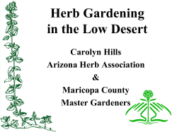 Herb Gardening in the Low Desert
