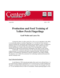 Production and Feed Training of Yellow Perch Fingerlings
