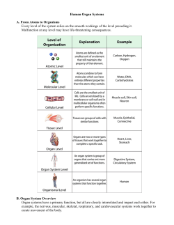 Human Organ Systems A. From Atoms to Organisms Every level of