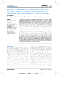 Glucose: an energy currency and structural precursor in articular