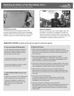 Modeling the Baleen of the Blue Whale, Part 1