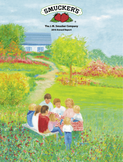 2010 Annual Report - Investor Relations Solutions