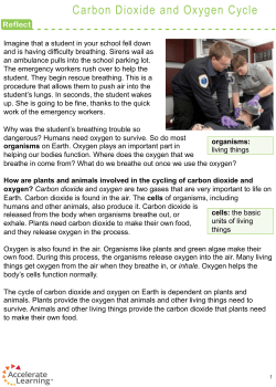 Carbon Dioxide and Oxygen Cycle