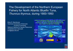 The Development of the Northern European Fishery for North