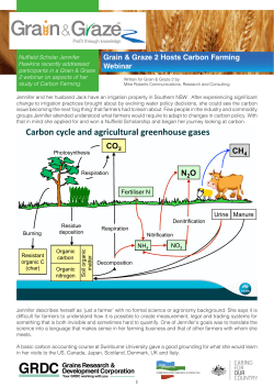Carbon cycle and agricultural greenhouse gases