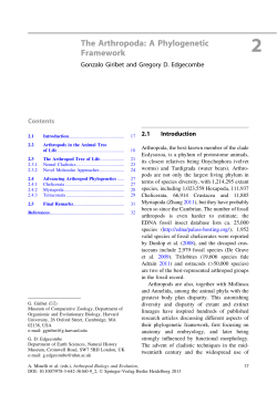 The Arthropoda: A Phylogenetic Framework