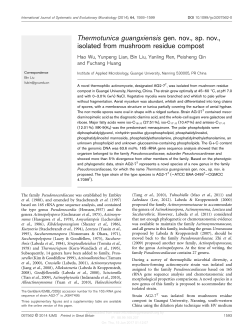 Thermotunica guangxiensis gen. nov., sp. nov., isolated from
