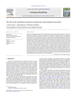 The life cycle and fitness domain of gregarine (Apicomplexa) parasites