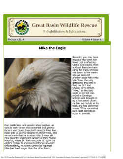 February 2014 - Great Basin Wildlife Rescue