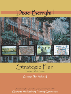 Dixie Berryhill Strategic Plan