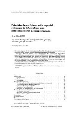 Primitive bony fishes, with especial reference to Cheirolepis and