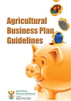 Agricultural Business Plan Guidelines