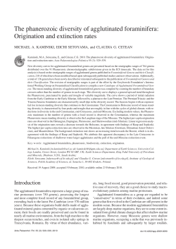 The phanerozoic diversity of agglutinated foraminifera: Origination