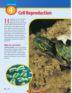A: Chapter 4: Cell Reproduction